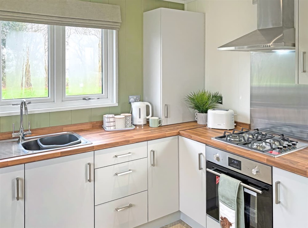 Kitchen area at Kings Moor Retreat 1 in Coleorton, near Coalville, Leicestershire