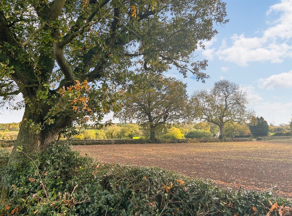 View at Kings Moor Retreat 1 in Coleorton, near Coalville, Leicestershire