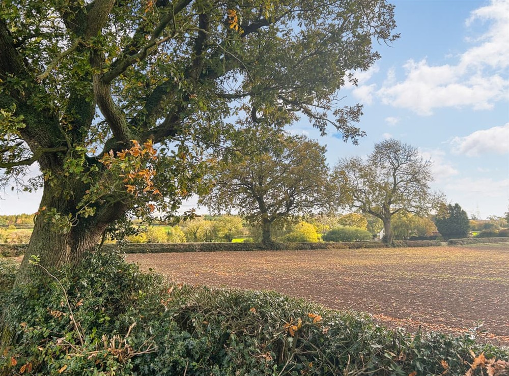 View at Kings Moor Retreat 2 in Coleorton, near Coalville, Leicestershire