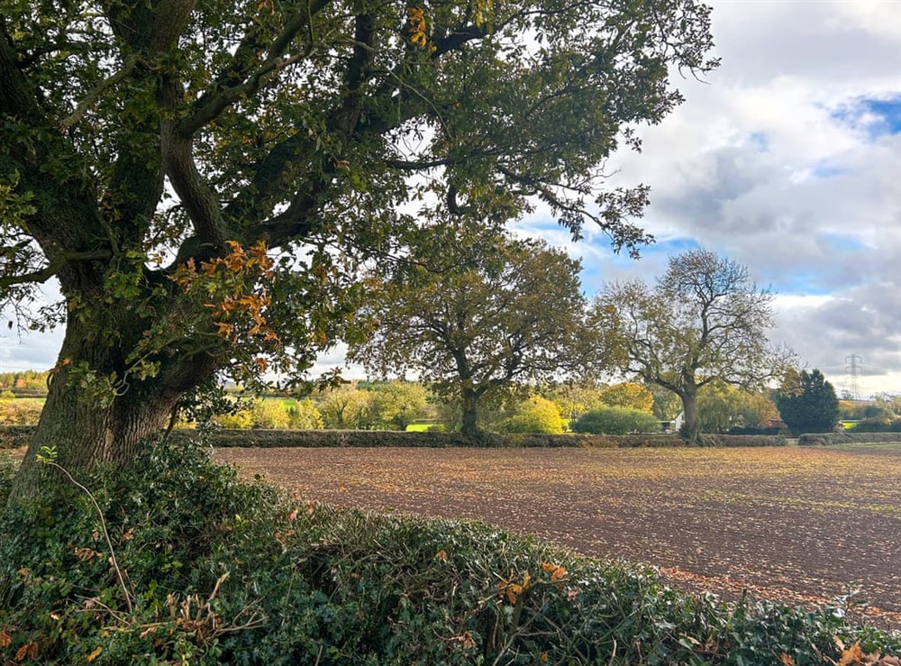 Outdoor at Kings Moor Retreat 3 in Coleorton, near Coalville, Leicestershire