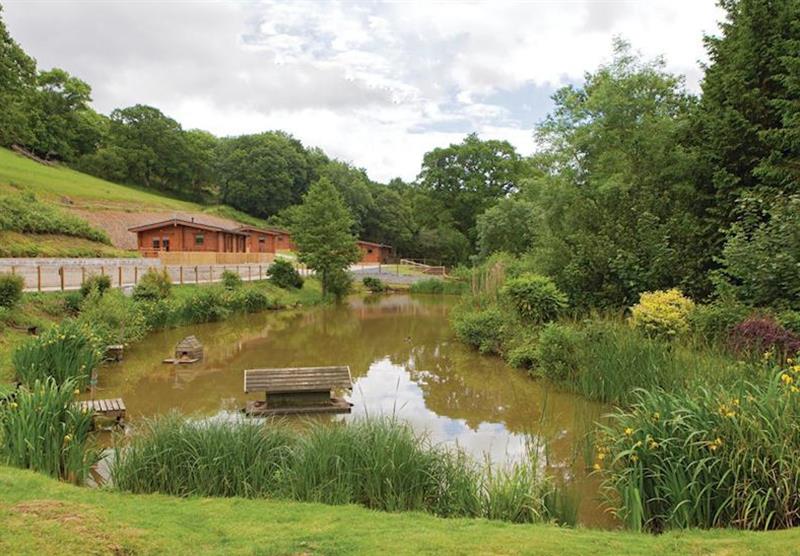 Photo 1 at Kingsford Farm Lodges in Devon, South West of England