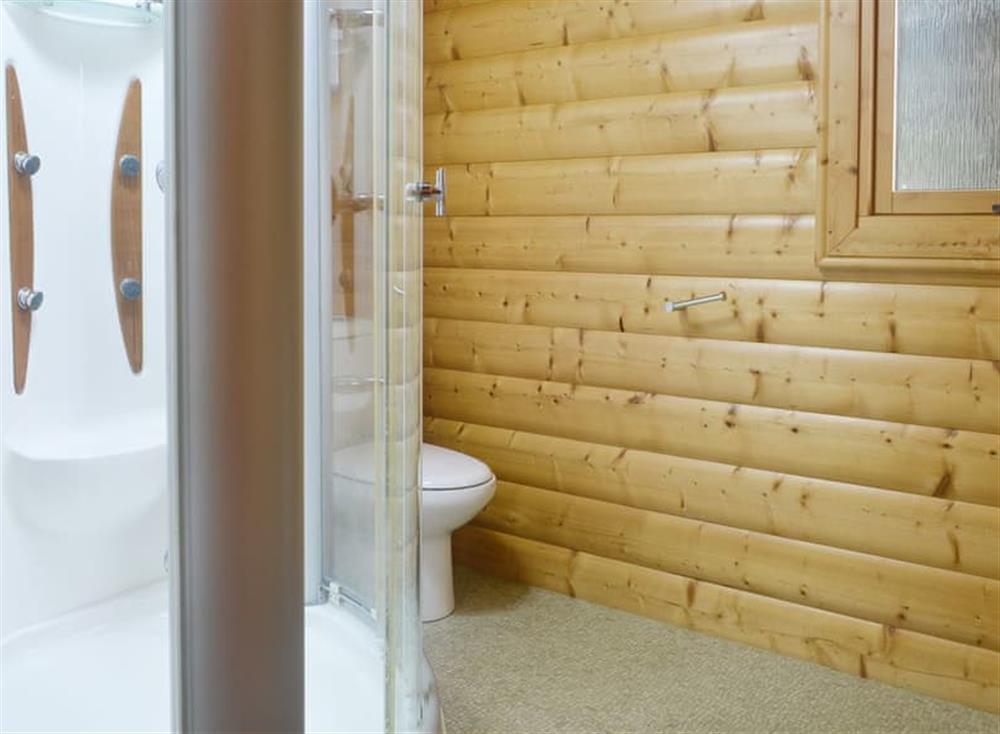 Shower room (photo 2) at Laurel Lodge, 