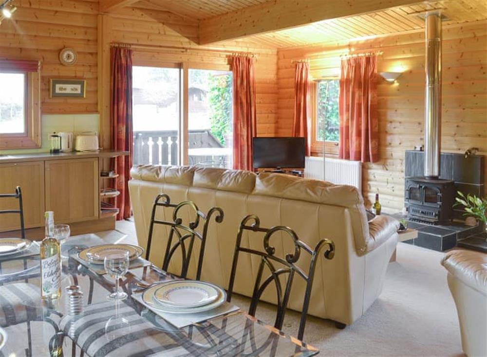 Stylish open-plan living space at Laurel Lodge, 