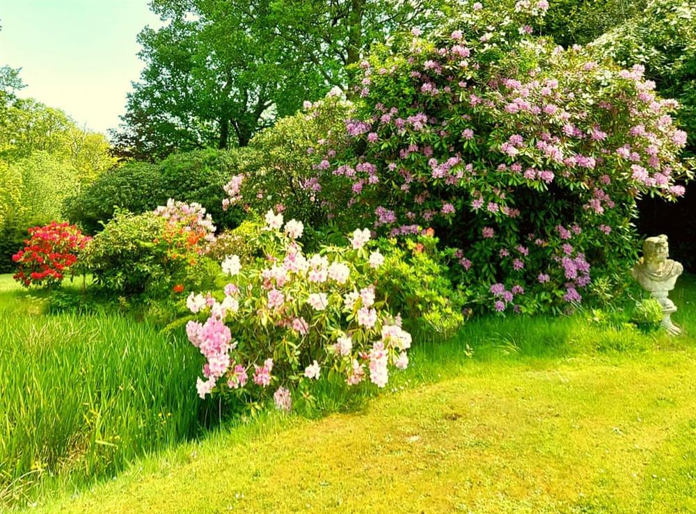 Garden (photo 2) at Kippling Cottage in Etchingham, East Sussex