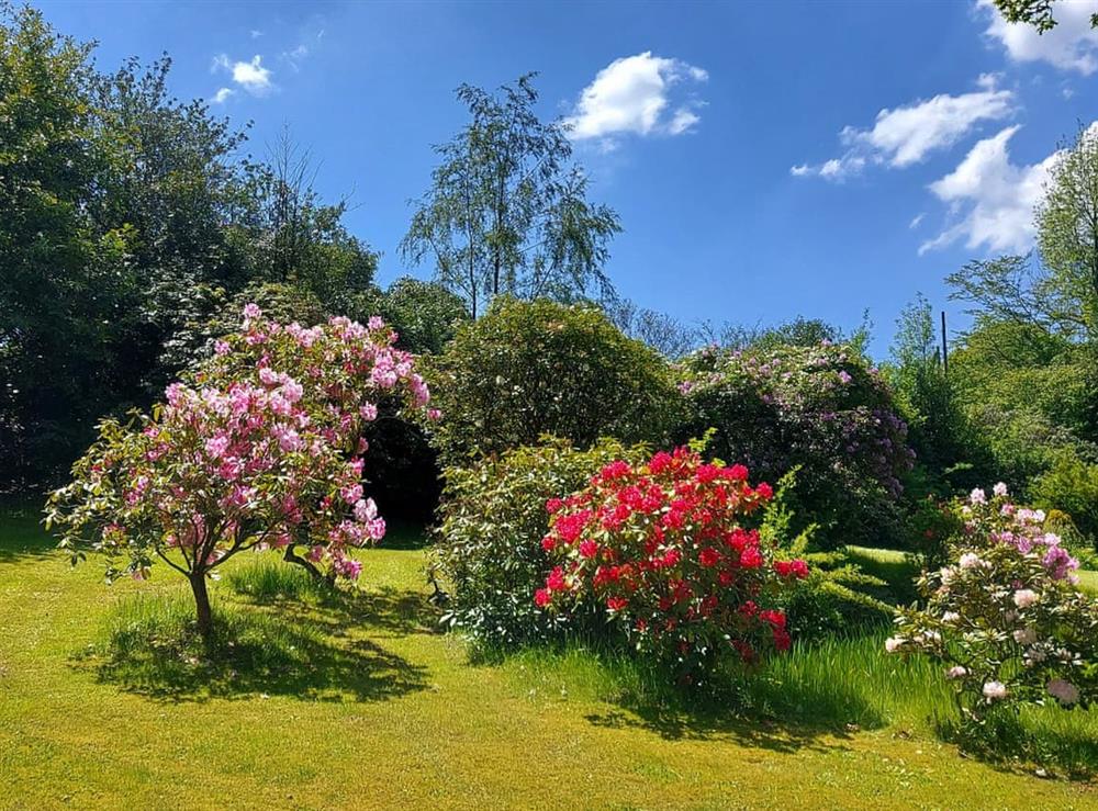 Garden at Kippling Cottage in Etchingham, East Sussex