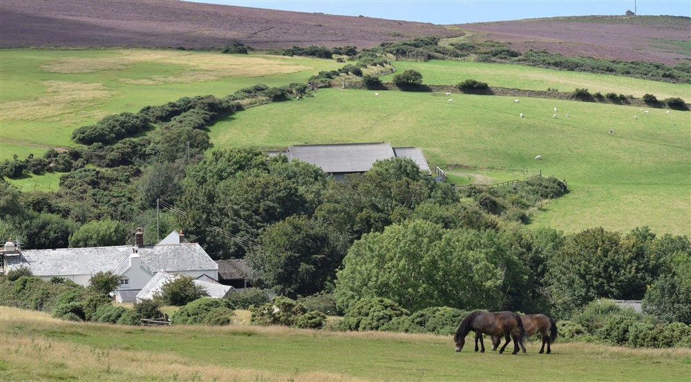 The surrounding area of Kipscombe Cottage, Devon at Kipscombe Cottage in Lynton, Devon