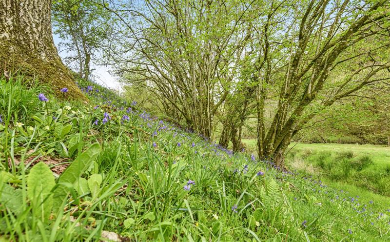 The setting around Kiri Cottage