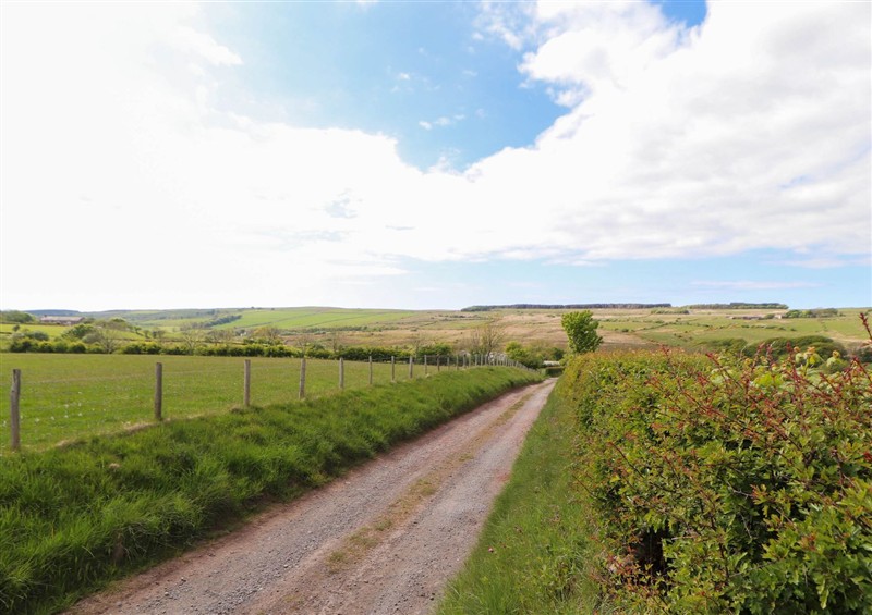Enjoy the garden at Kirkland Howe Cottage, Arlecdon