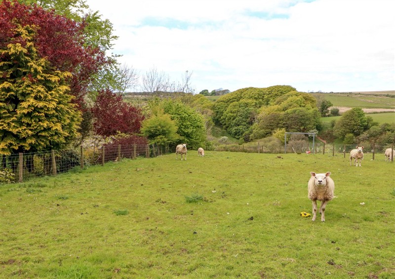 This is the garden at Kirkland Howe Cottage, Arlecdon