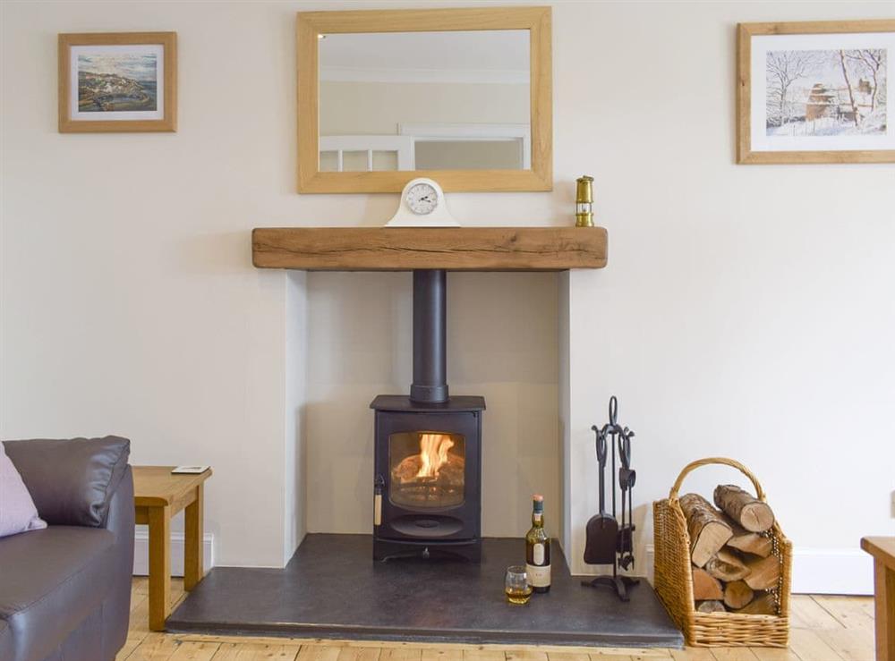 Warming wood burner at Kirkview Cottage in Upper Largo, near Leven, Fife