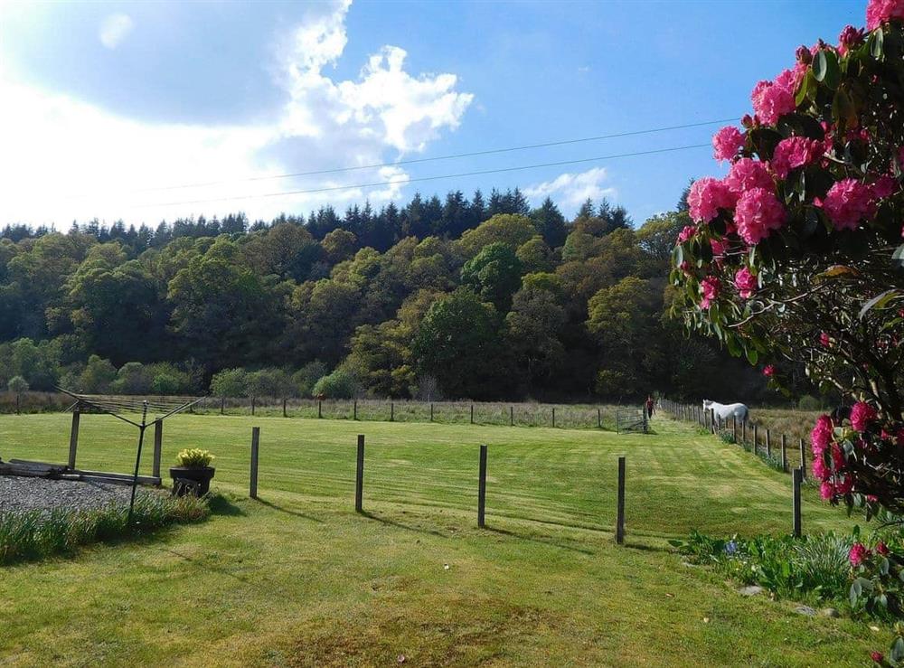Huge well maintained enclosed garden stretching over the small river at the top of the garden with wonderful rural views at Kirnan Cottage in Kilmichael Glassary, near Lochgilphead, Argyll