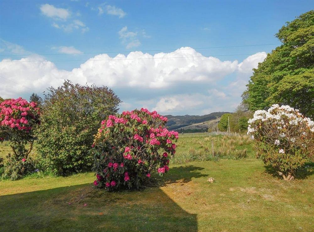 The garden is well planted with mature shrubs and is a huge area for families and children to play or relax. at Kirnan Cottage in Kilmichael Glassary, near Lochgilphead, Argyll