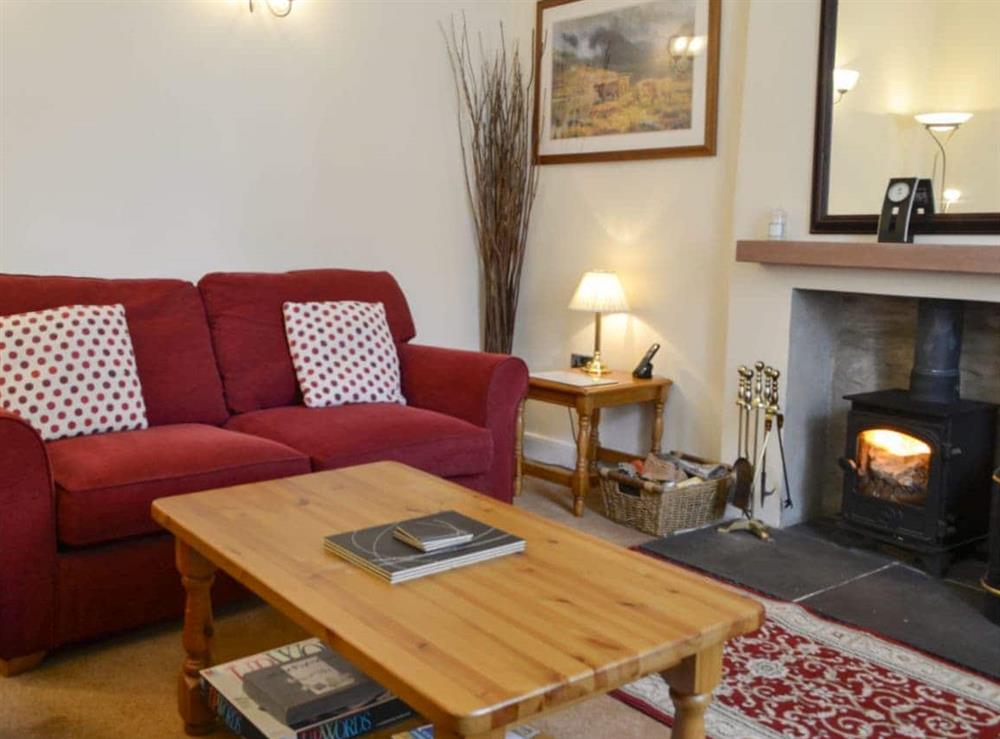 Cosy living room with multi-fuel burner at Kirsty Cottage in Moffat, Dumfriesshire