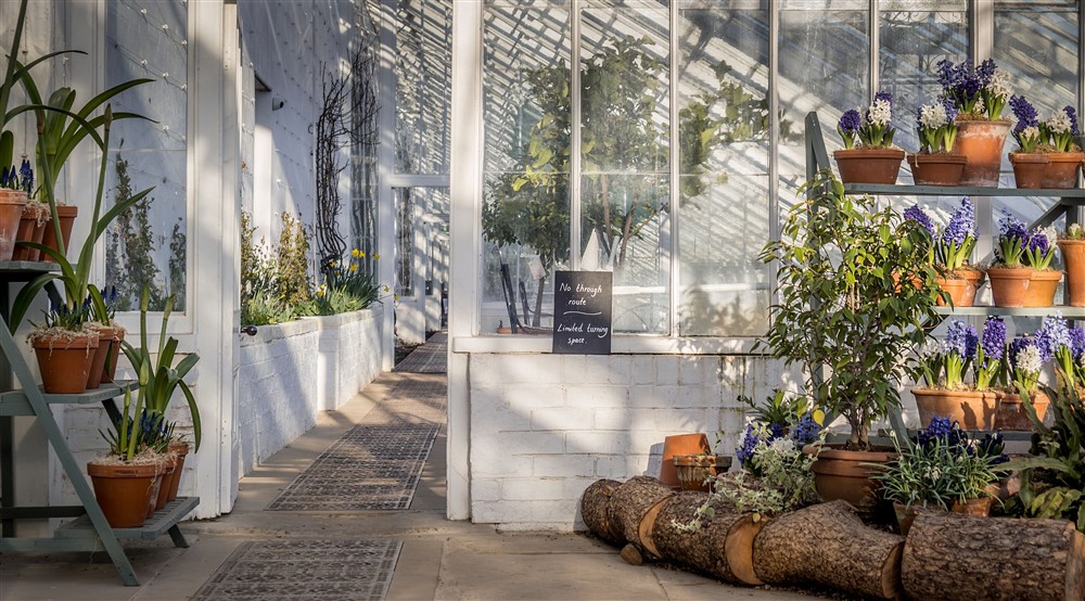 The glasshouse in the walled kitchen garden at Kitchen Garden Cottage in Worksop, Nottinghamshire