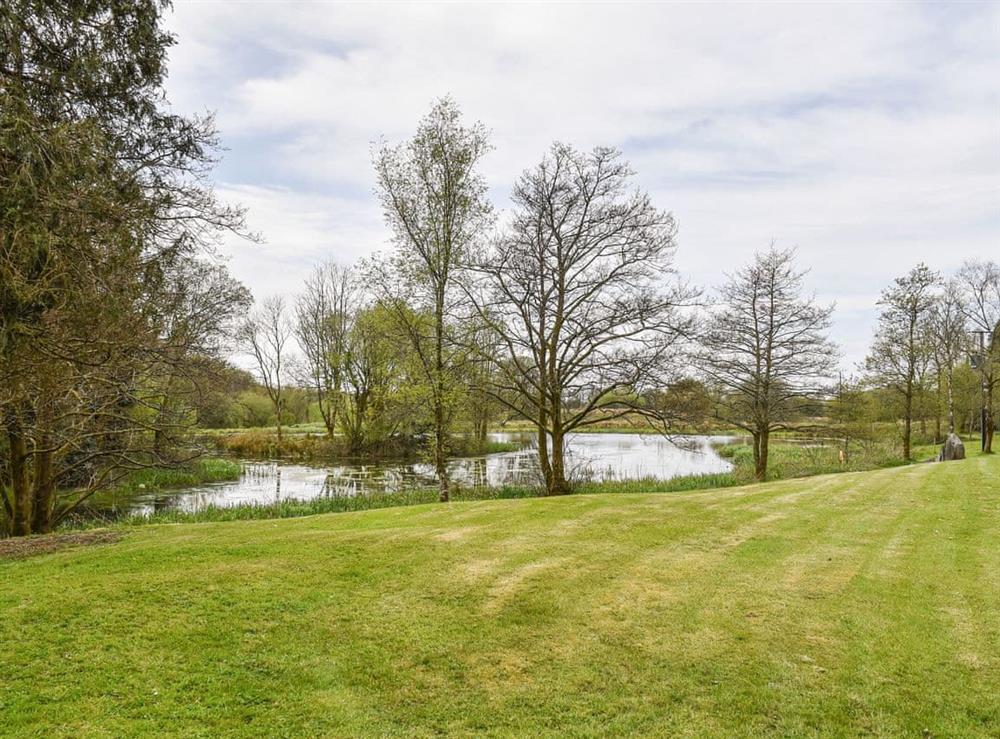 Garden and grounds (photo 2) at Kite Cottage in Llandeilo, Dyfed