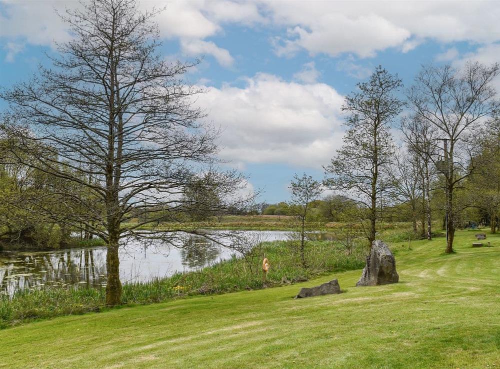 Garden and grounds at Kite Cottage in Llandeilo, Dyfed