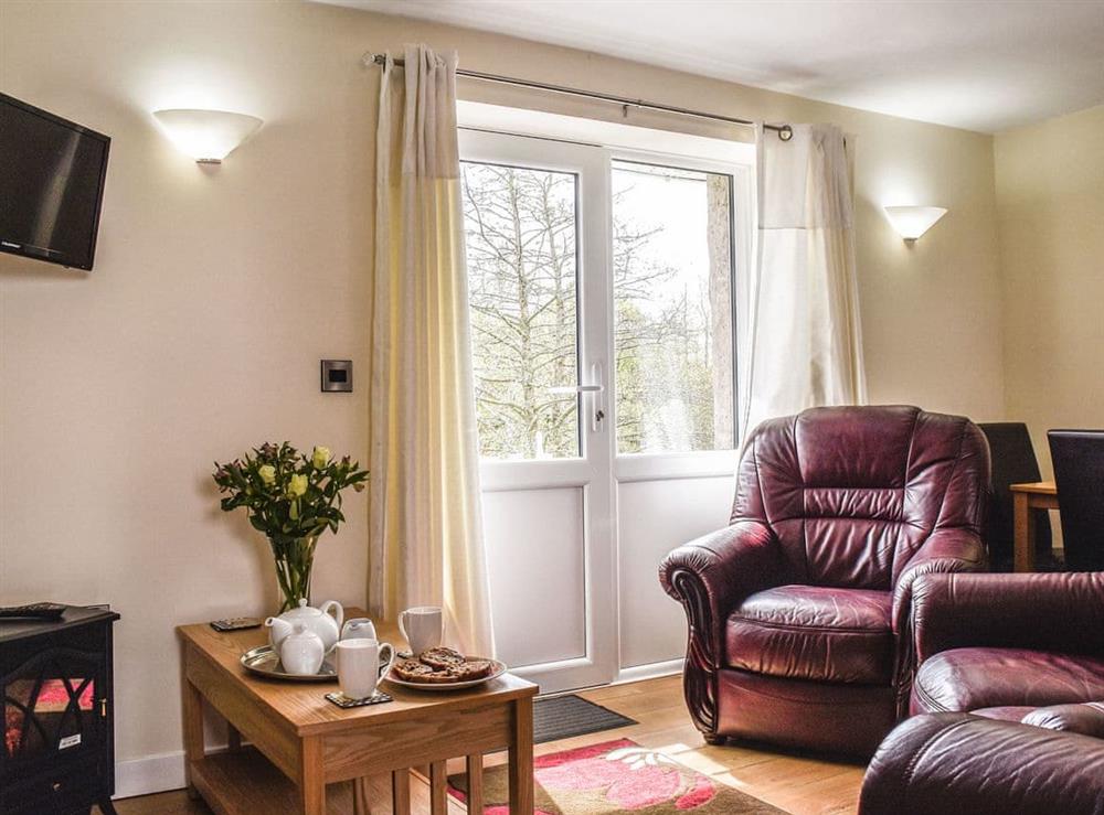 Living area at Kite Cottage in Llandeilo, Dyfed