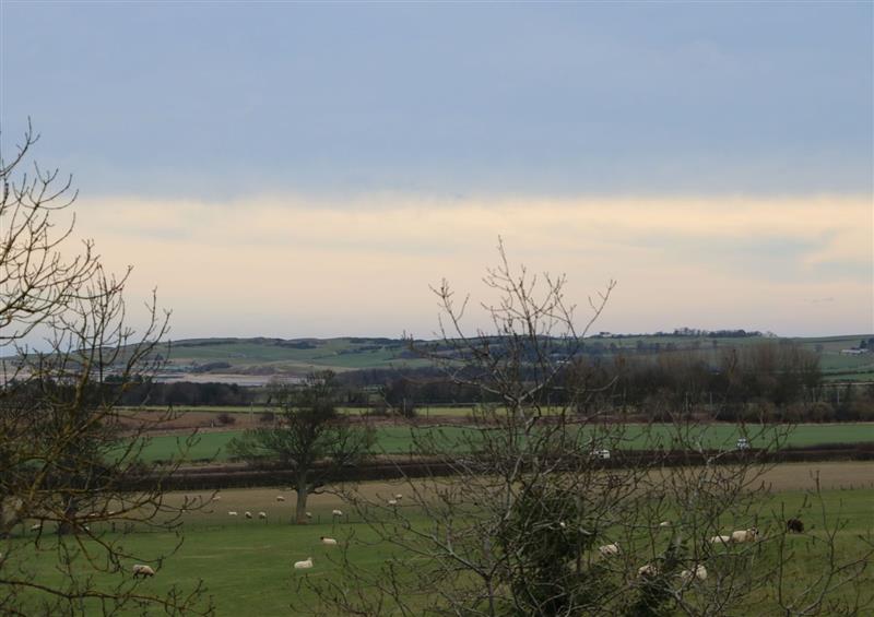 Rural landscape at Kits Cottage, Middleton near Belford