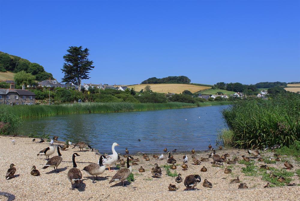 Slapton Ley nature reserve is a 5-10 minute drive away