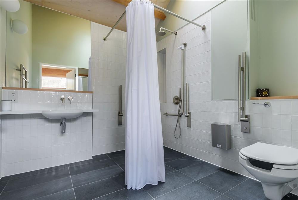 The accessible family wet room with a walk in shower, wash basin and WC