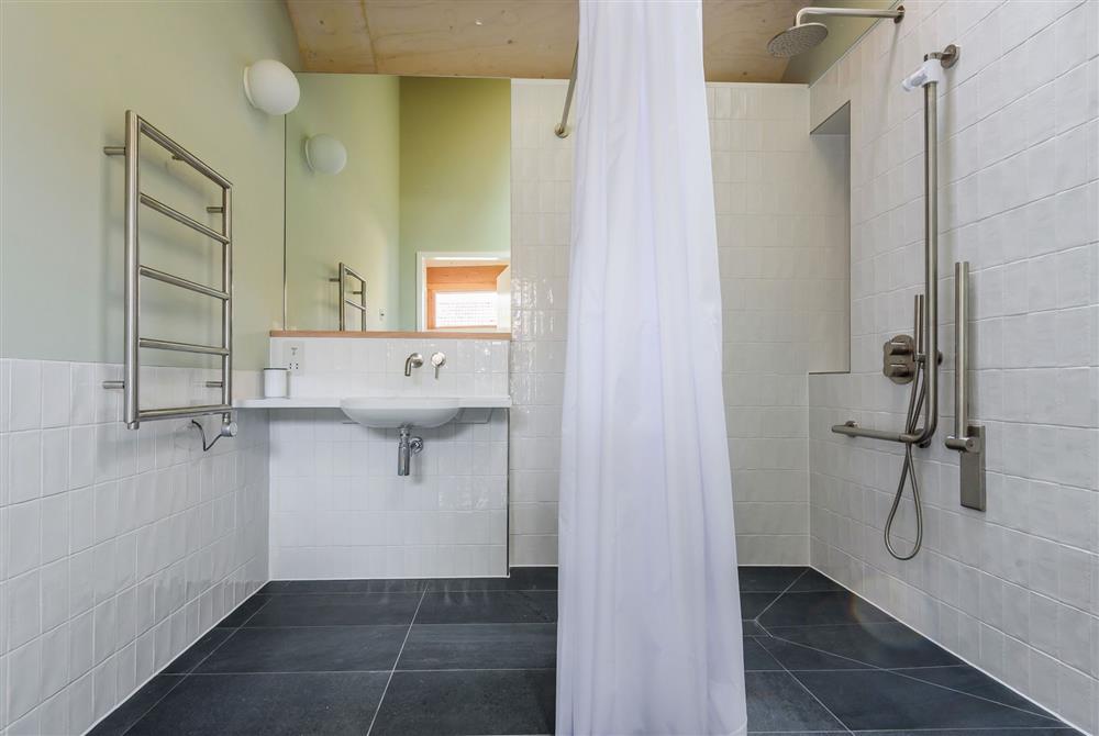 The accessible family wet room with walk in shower, wash basin and WC