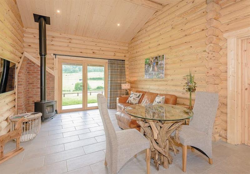 Inside The Paw Pad at Kitty’s View Country Lodges in Broxton, Nr Chester