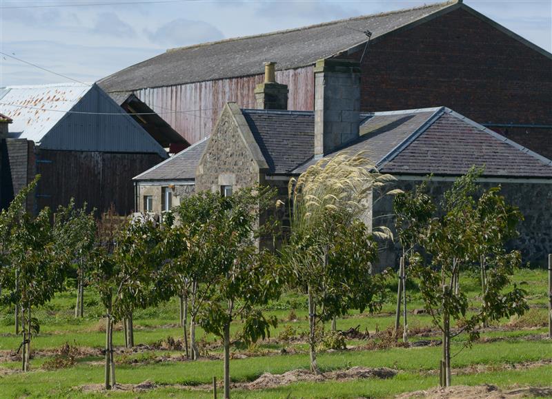 This is the garden at Knightsward Farm, Lochty near Anstruther