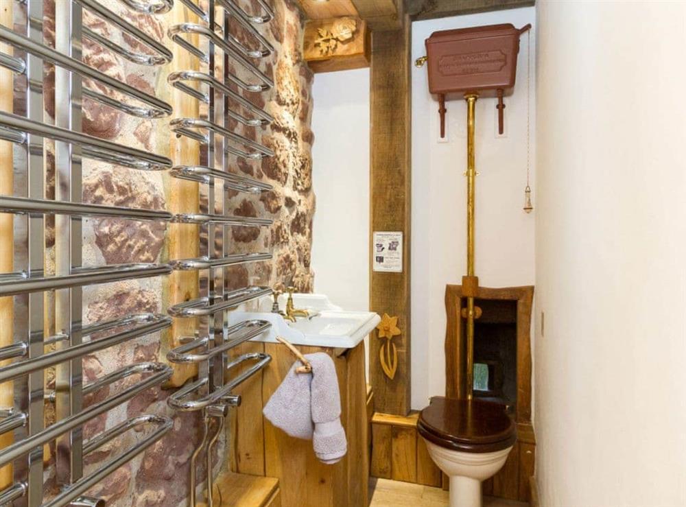 Unique toilet