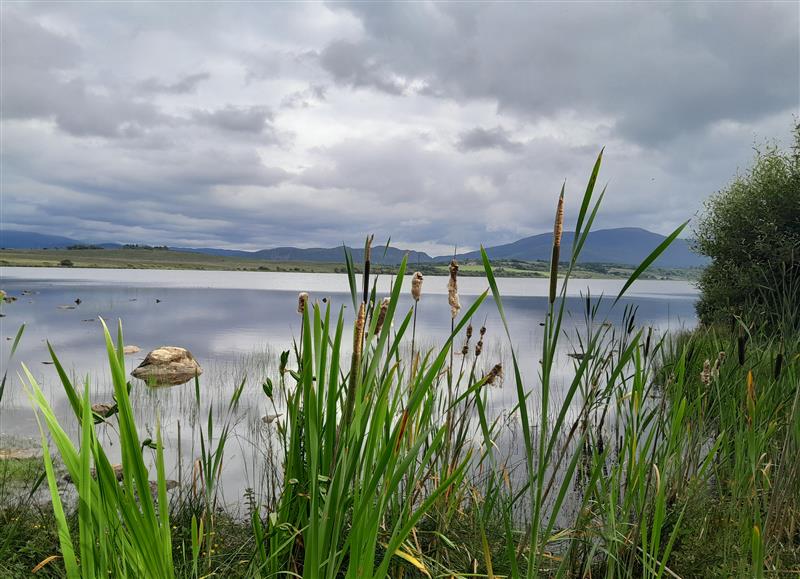 The area around Knockbrack