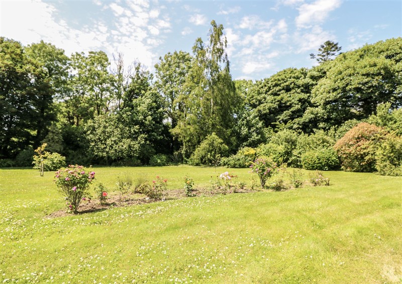 The garden in Knockroe Lodge at Knockroe Lodge, Lacken near New Ross