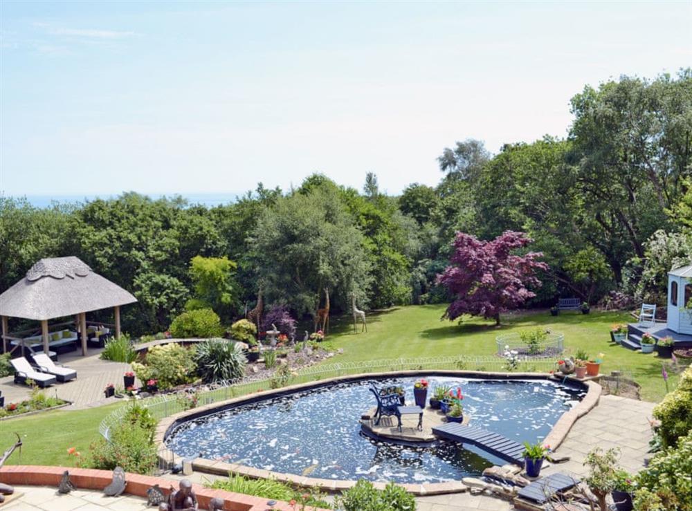 Garden and grounds at Knowle Croft Cottage in Fairlight, near Hastings, East Sussex