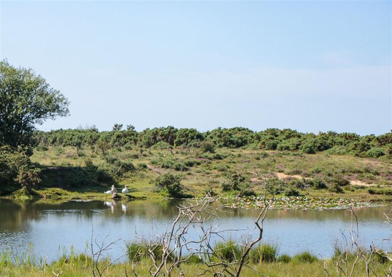 The setting of Kookaburra (photo 4) at Kookaburra, South Gorley near Fordingbridge