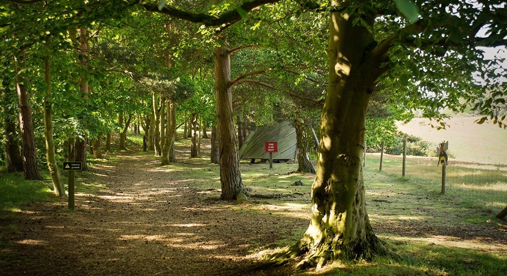 Views of the estate near Tranmer House, nr Woodbridge, Suffolk at Kyson in Woodbridge, Suffolk