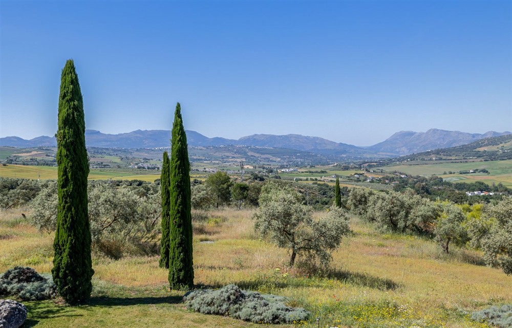 La Cimada de Ronda