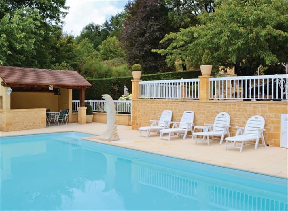 Outdoor area (photo 2) at La Galibe in Le Lardin, Dordogne, France