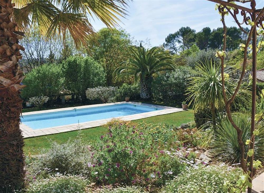 Lovely swimming pool within mature garden at La Maison Charmante in Grasse, Côte-d’Azur, France