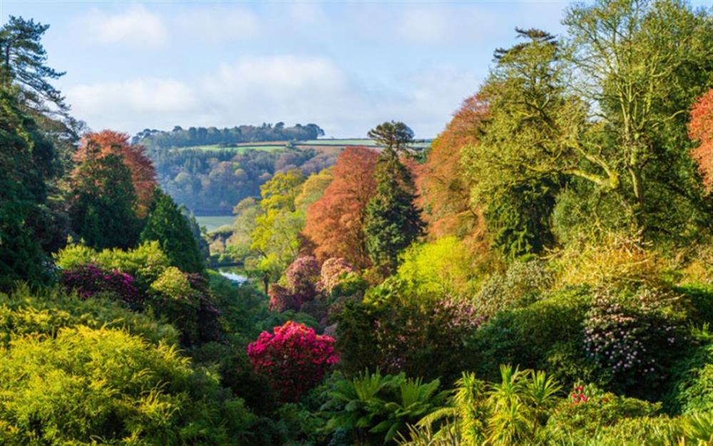 Beautiful Trebah Gardens at nearby Mawnan Smith at La Mouette in Falmouth