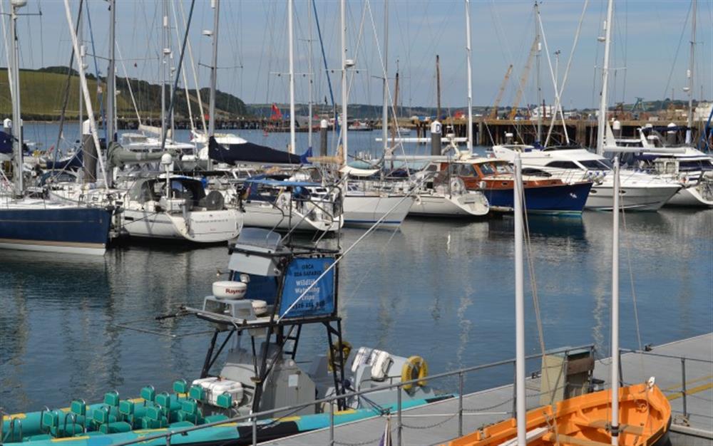 Falmouth harbour - grab a boat trip to explore the area. at La Mouette in Falmouth