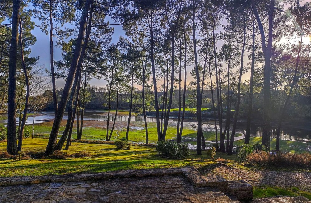 La Reserve Du Golfe