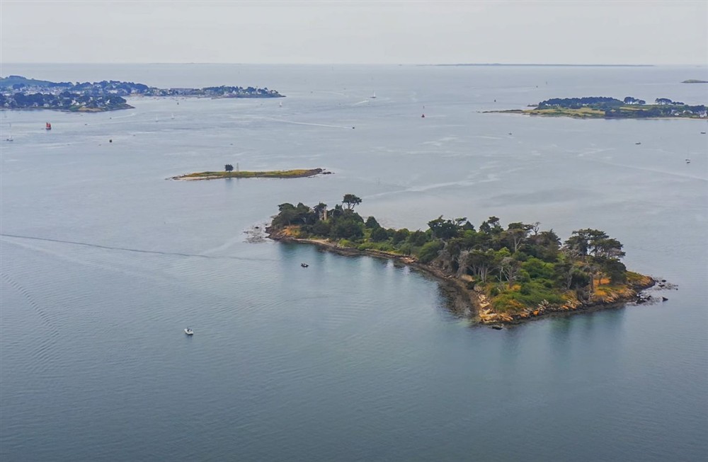 La Reserve Du Golfe