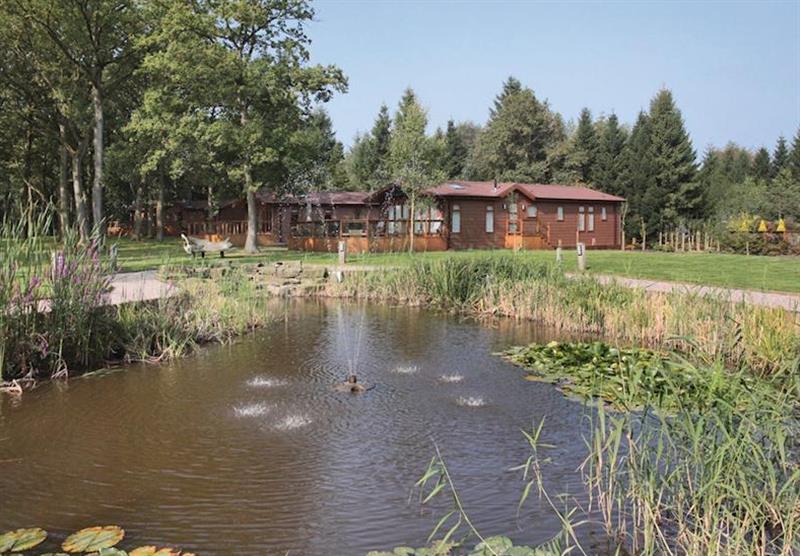 The park setting (photo number 2) at Ladera Retreat Lodges in Eaton, Congleton