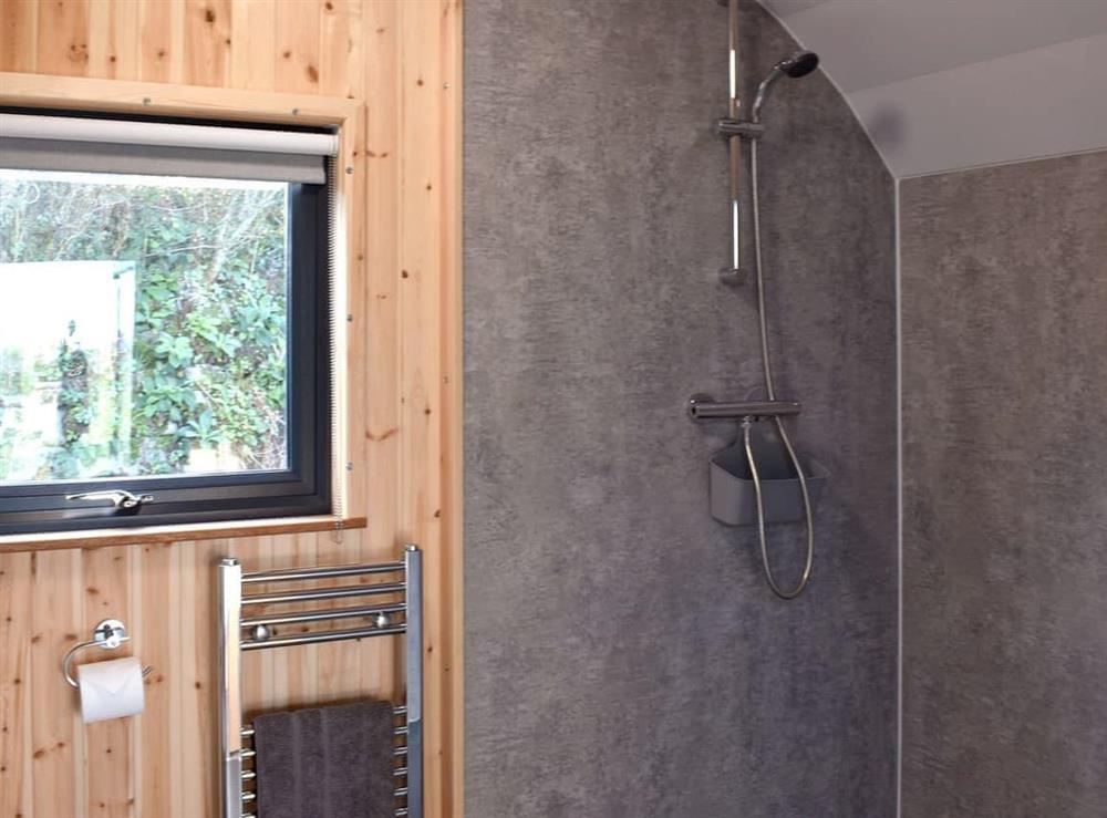 Shower room (photo 2) at Lady Gwendoline in Balwest, nr Penzance, Cornwall