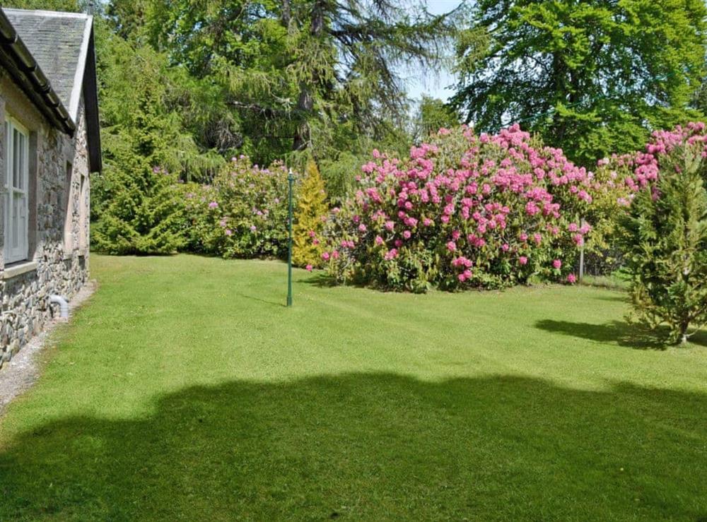 Garden at Ladybird Cottage in Scaniport, near Inverness, Inverness-Shire