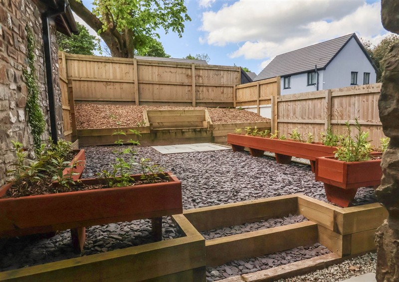 The garden at Ladybird Rest, Parkham near Bideford