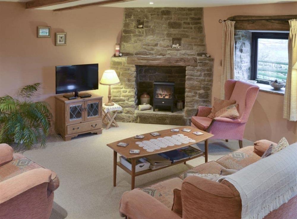 Warm and welcoming living room at Ladycroft Barn in Hope Valley, South Yorkshire