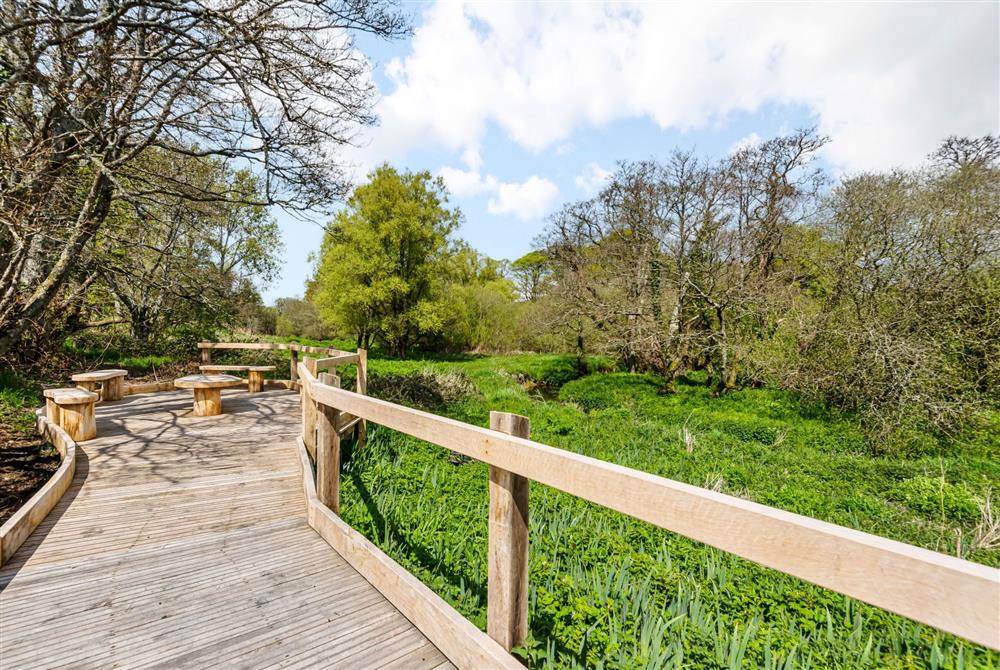 One of the boardwalk picnic areas and the perfect spot to watch the wildlife at Ladymeade, Dorset at Ladymeade, Dorchester