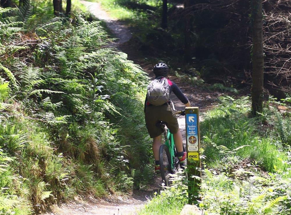 Beast of Bodmin mountain bike trail at Ladyvale Barn in Cardinham, near Bodmin, Cornwall