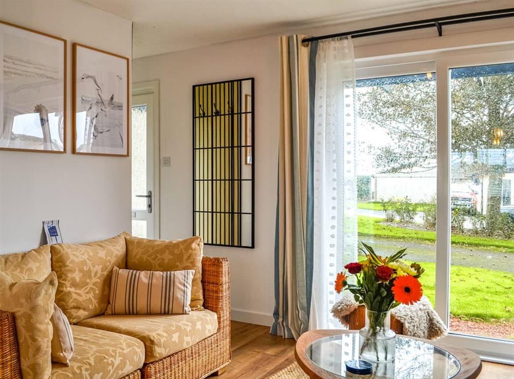 Living room at Laigh Isle in Newton Stewart, Wigtownshire