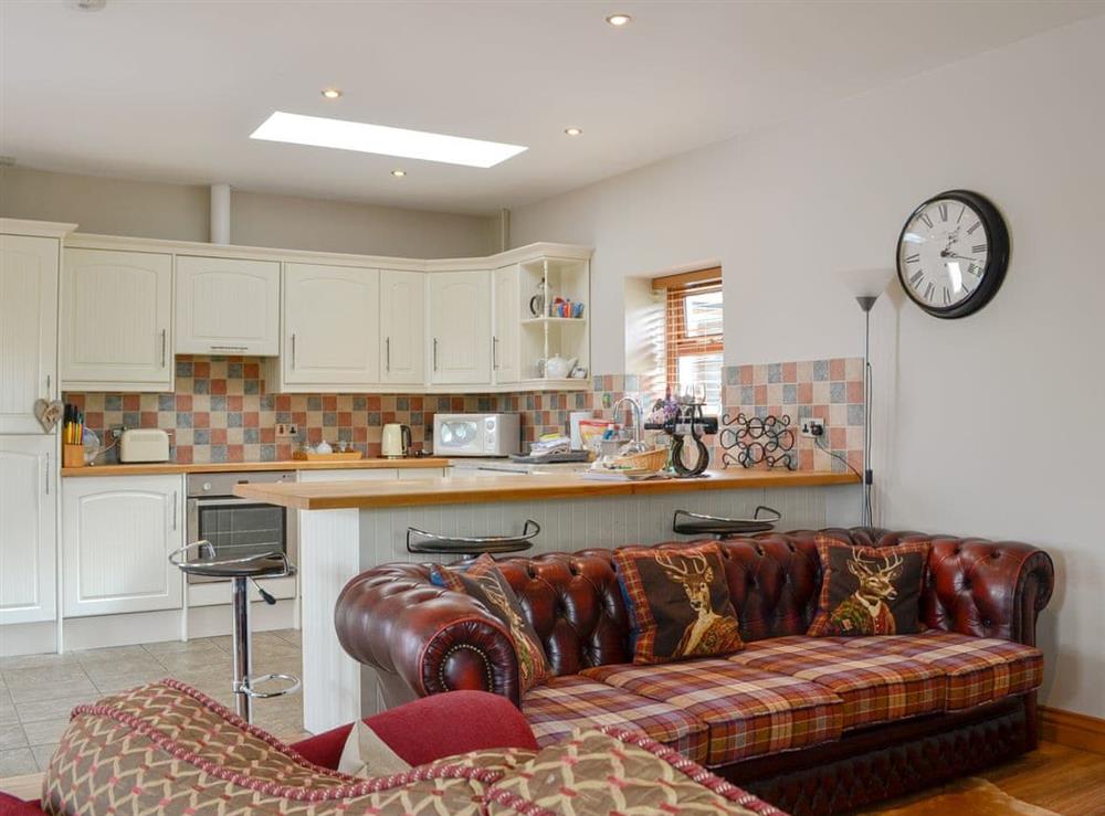 Open plan living space (photo 3) at Laird House in Lochmaben near, Lockerbie, Dumfriesshire