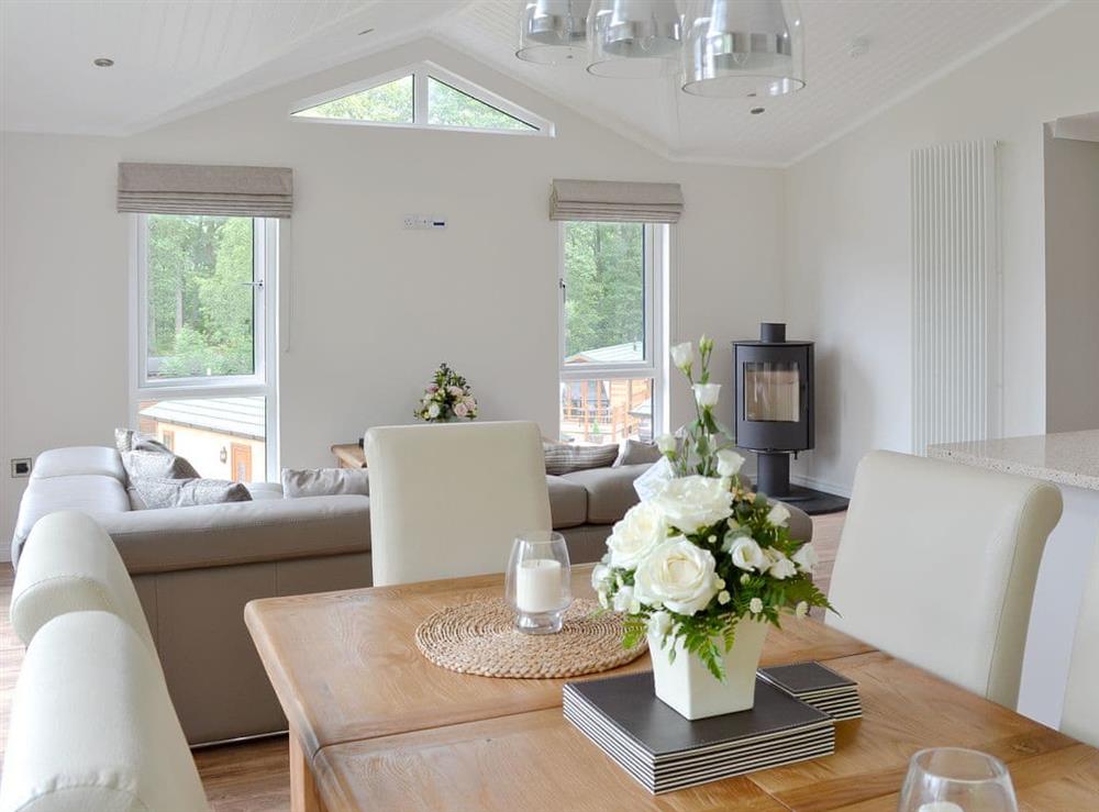 Open plan living/dining room/kitchen (photo 3) at Lake Bank Lodge in Ulverston, Cumbria